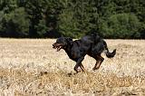 BEAUCERON 751